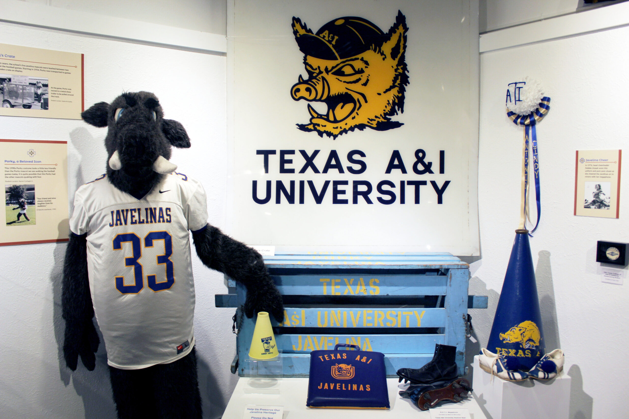 TAMUK Texas A\u0026M University - Kingsville Javelinas Jumbo Foam Trucker H, image size:2560x1707