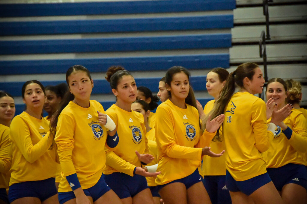 Volleyball team edited