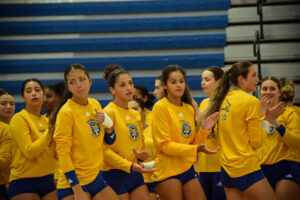 Volleyball team edited